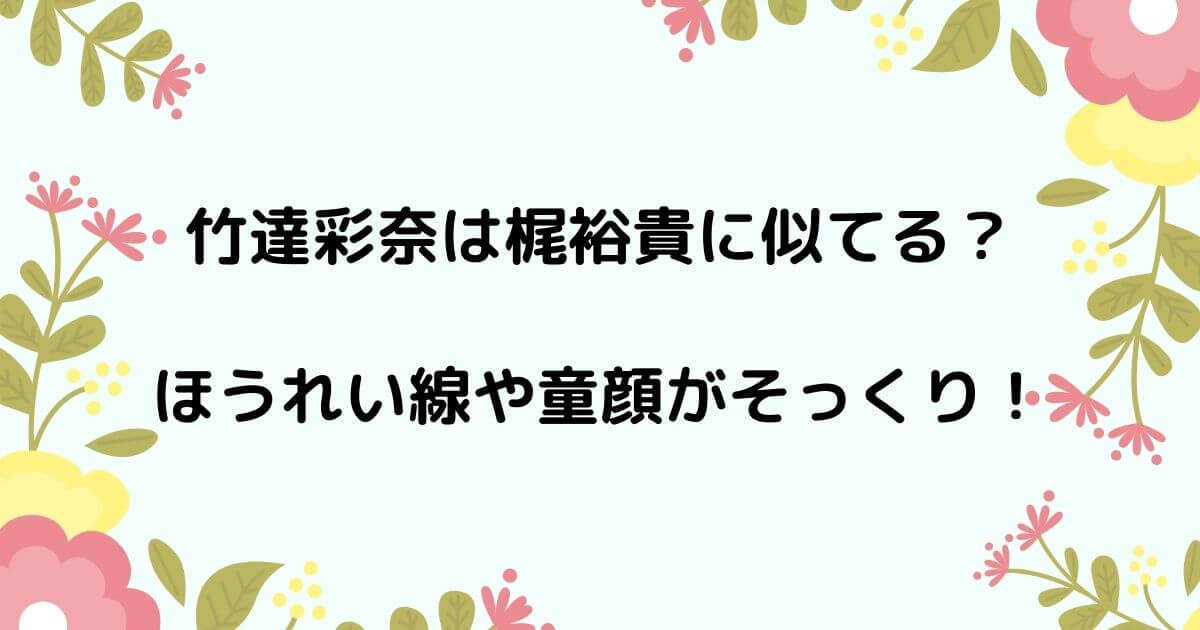 竹達彩奈と梶裕貴は似てる ほうれい線と童顔がそっくりと話題 ニコニコブログ