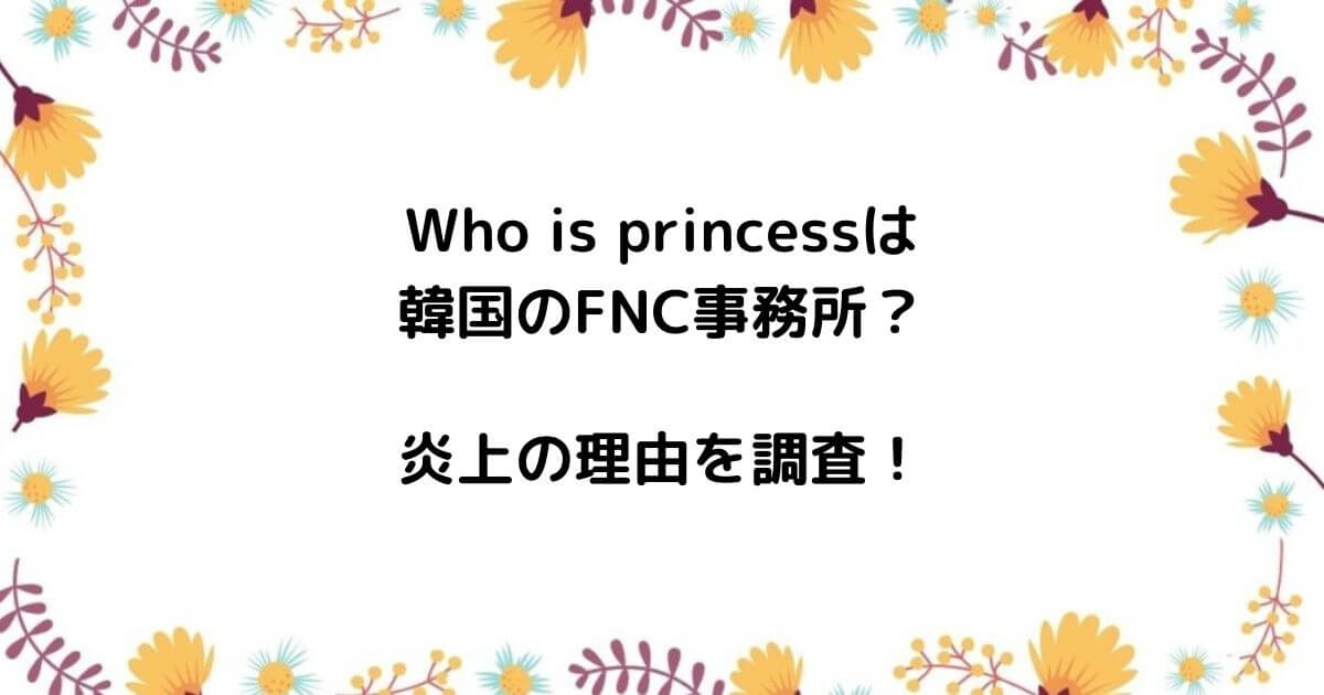 Who is princessは韓国のFNC事務所？炎上の理由を調査！
