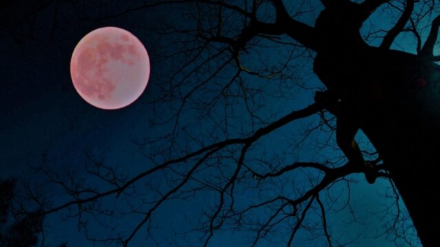 ストロベリームーンの待ち受けは効果ある？恋愛や金運ジンクスまとめ