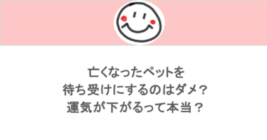 亡くなったペットを待ち受けにするのはダメ？運気が下がるって本当？