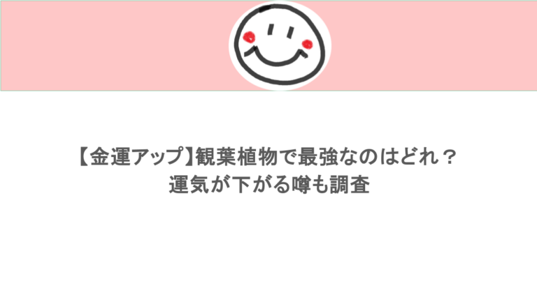 【金運アップ】観葉植物で最強なのはどれ？運気が下がる噂も調査